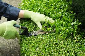 Garden Services